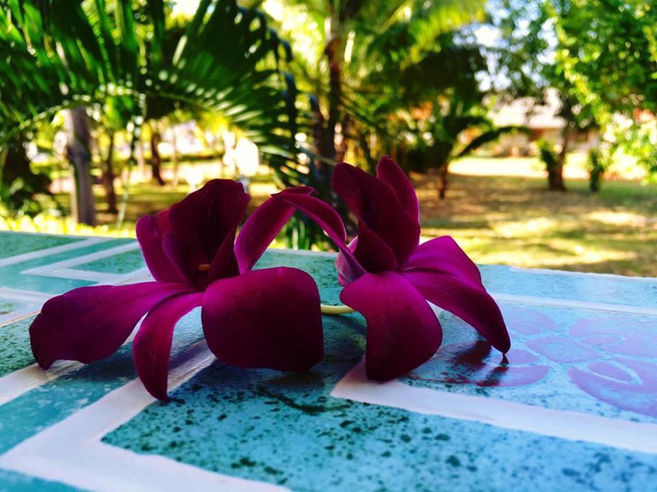 Lanta Queen Resort Ko Lanta Eksteriør bilde